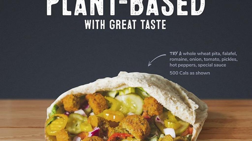 pita-pit-1750135573406