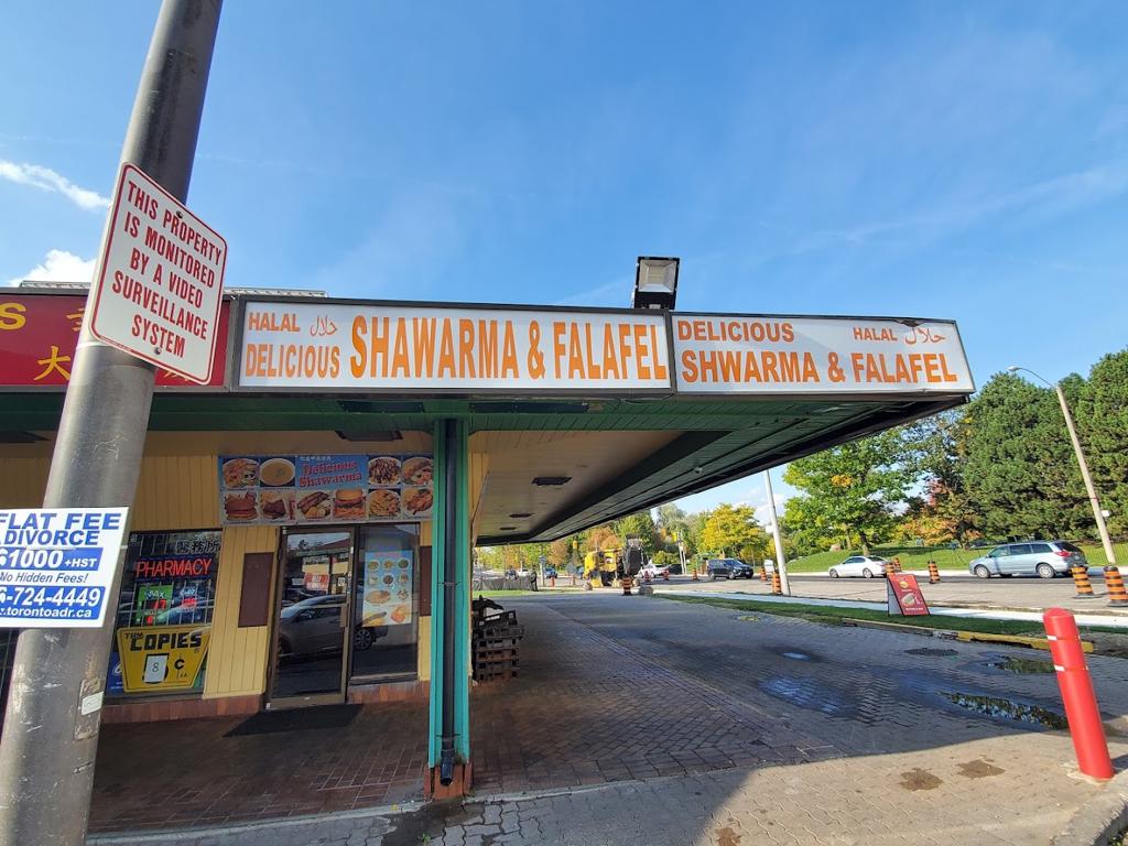 delicious-shawarma-and-falafel-1750135824825